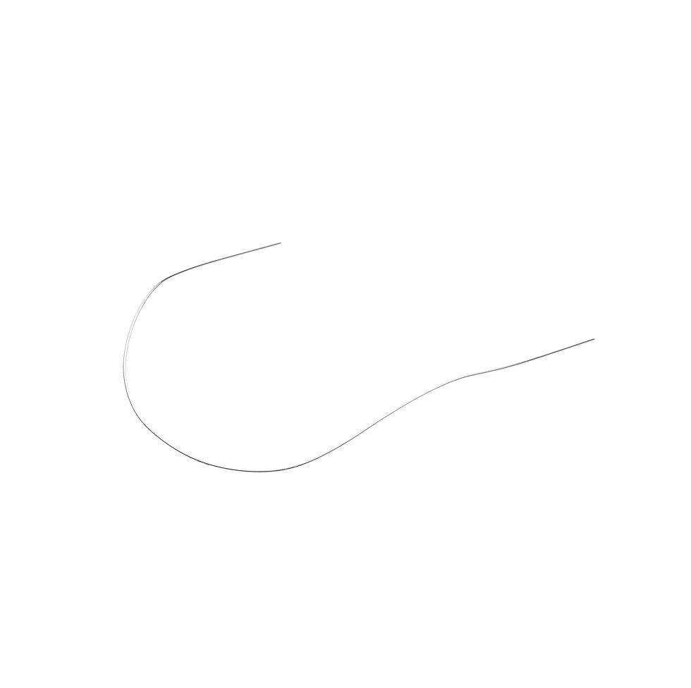 Thumbnail: Reverse Curve of Spee NiTi Archwires