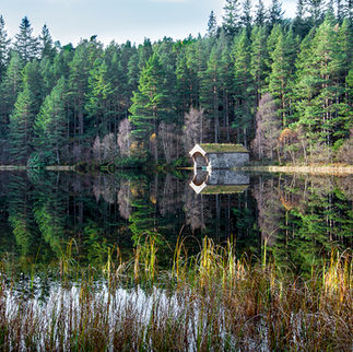 All Content © Copyright 2026 Andrew Hughes Photography