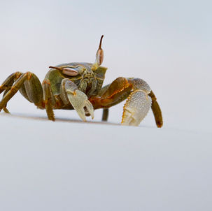 All Content © Copyright 2023 Andrew Hughes Photography