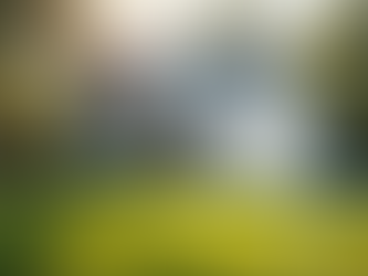 Empowering For Sale By Owners with Sun National Title's Expertise in Real Estate Transactions