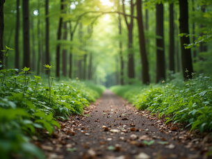 Embrace Your Journey: Motivation Through Self-Growth
