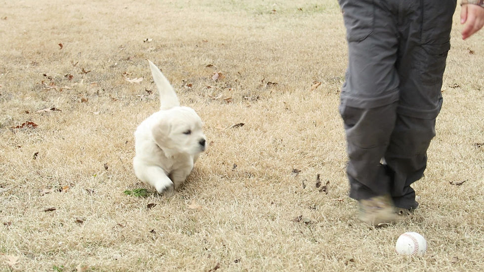 Thumbnail: Purple Girl