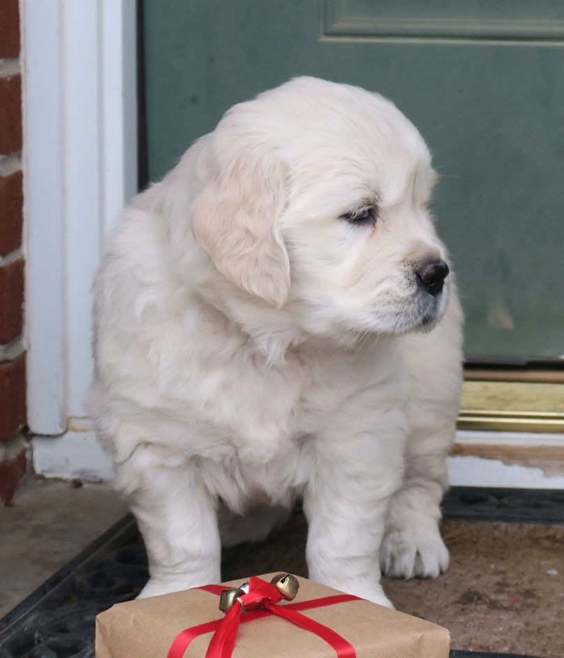 Thumbnail: Purple Girl