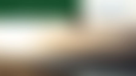 Osoyoos Indian Band Forestry Newsletter