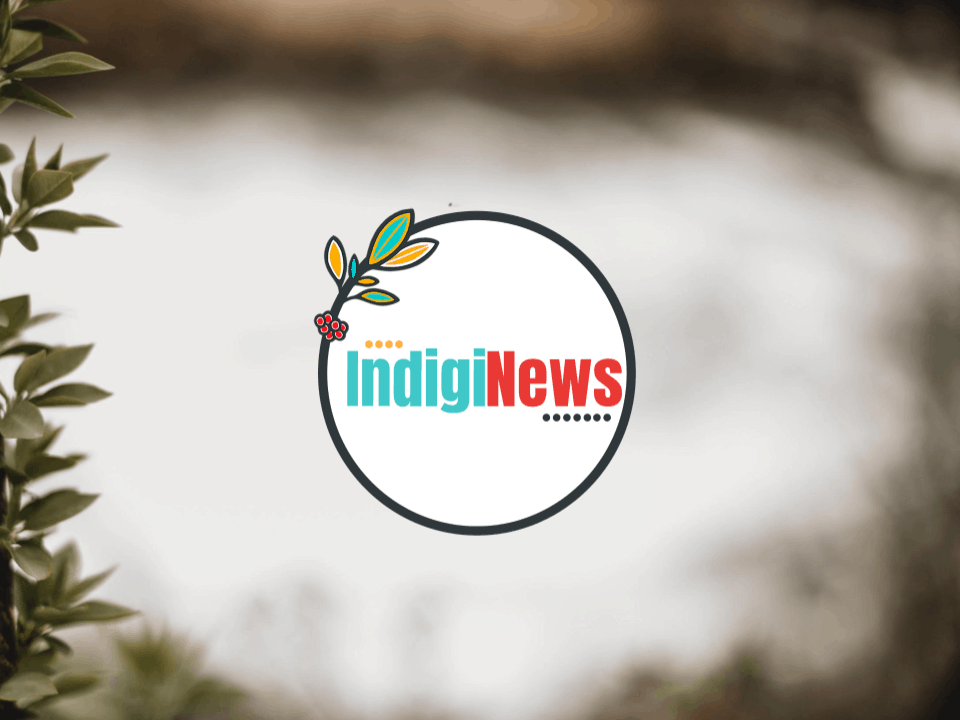 Writer: Dionne Phillips