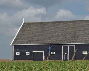 realisatie zwart naaldhout planchetten_edited_edited.jpg