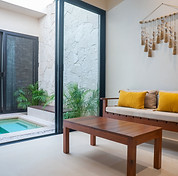 Living Room and Private Pool