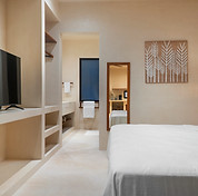 Exclusive Apartments with king bed in la Veleta