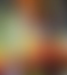 Check out the Fall 2025 Edition of Jessamine County Living