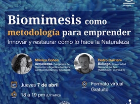 Naturaleza, diseño e innovación... ¿Sabés de qué se trata la Biomimesis?