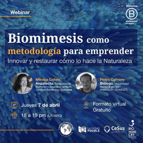 Naturaleza, diseño e innovación... ¿Sabés de qué se trata la Biomimesis?