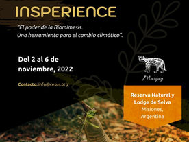 Insperience, el poder de la biomĂmesis. Una herramienta contra el cambio climĂĄtico