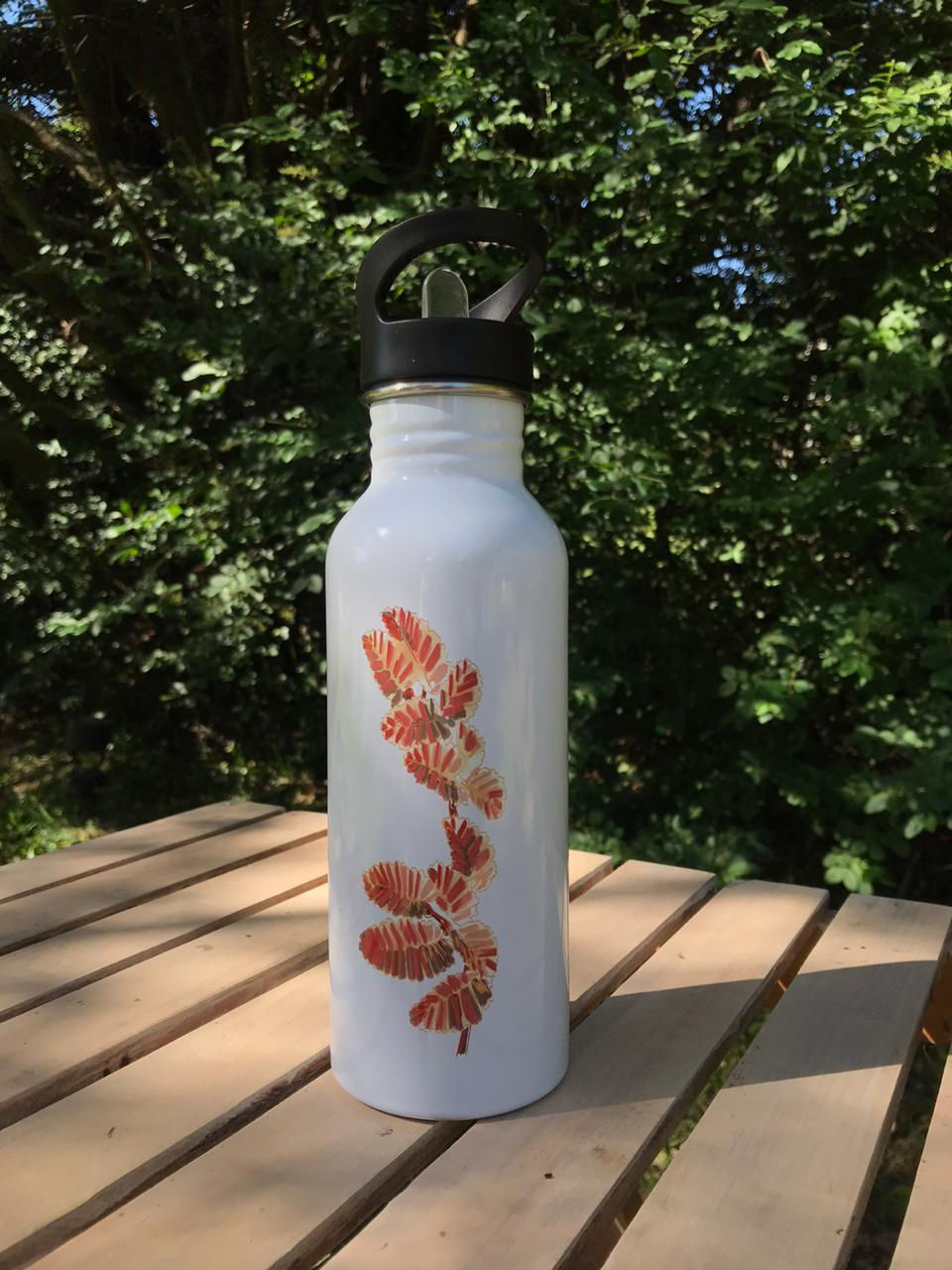 Miniatura: Botella Reutilizable Árboles Nativos