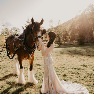 Spring Wedding