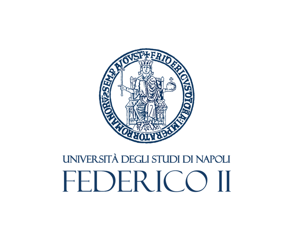 Logo_Unina-2020_sviluppo-quadrato_edited.png