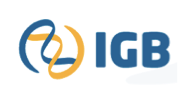 igb_edited.png