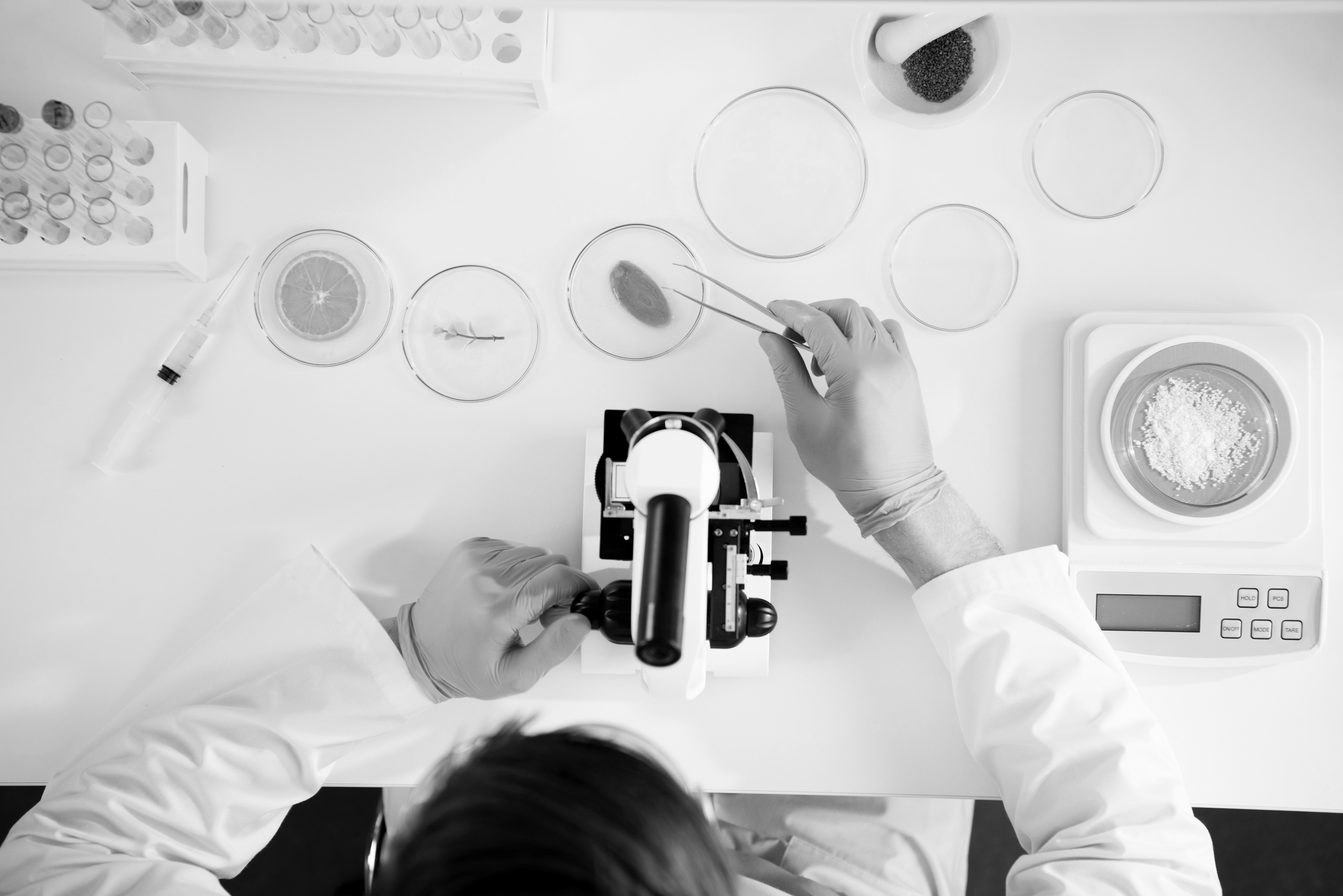 Scena di esperimento di laboratorio