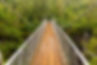 orrieshalloch Gorge National Nature Reserve