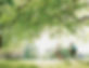 iStock-108359509.jpg
