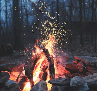 THURSDAY: Parkville Nature Sanctuary: Embers Forest Group