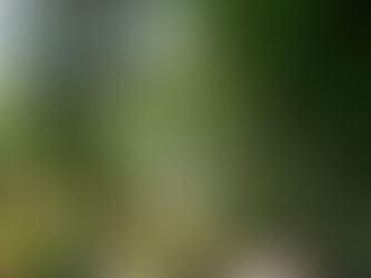 From Iyengar to Kanduboda