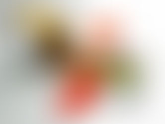 Primal Upper: novelty