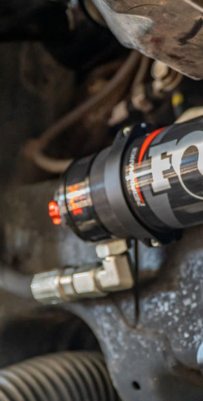 Close Up Fox Shock
