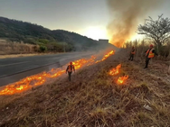 Protección Ambiental avanza con acciones estratégicas en la zona sur del país