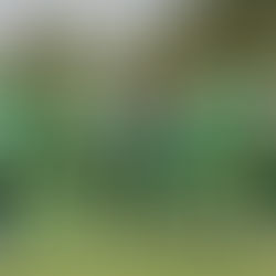 La fecha 17 de la Liga Nacional trae clásicos de alto voltaje