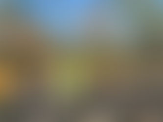 FF.AA. sofoca incendio forestal en El Paraíso