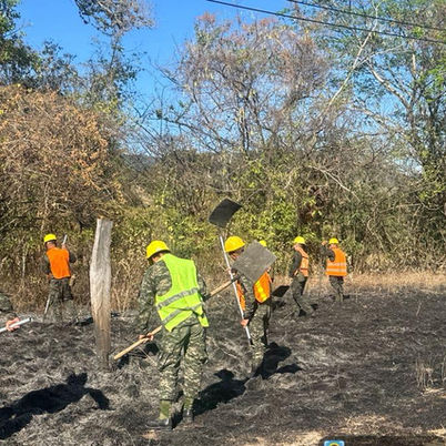 FF.AA. sofoca incendio forestal en El Paraíso