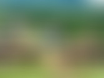 Fuerzas Armadas clausuran con éxito el Curso CABIS formando a 1,779 nuevos soldados