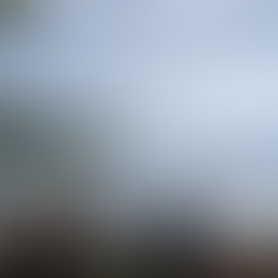 Infantes de Marina realizan jornada de limpieza en Cayos Cochinos