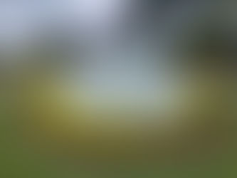 CEDACE conmemora su aniversario como el umbral del soldado agropecuario