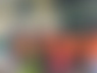 BHR concluye con éxito mision de proteger veraneantes