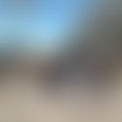 AEOFFAA realiza segunda edición de “Caminata por la salud”