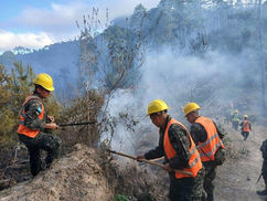 FF.AA. fortalecen la proteccion del medio ambiente en Honduras