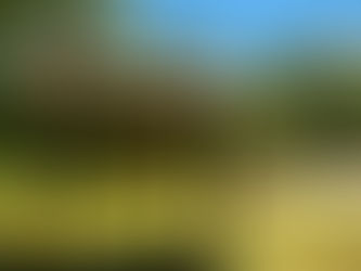 Parque Nacional Cusuco: joya natural que invita al turismo responsable