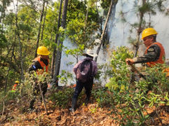 Ejército combate incendio forestal y protege recursos naturales