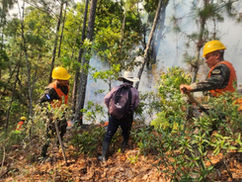 Ejército combate incendio forestal y protege recursos naturales