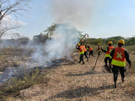 Guardianes del bosque de Honduras enfrentan incendios en distintas regiones del país