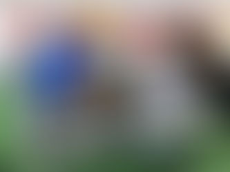 Tecnología arbitral con fecha definida y nuevo formato revolucionan el Clausura hondureño