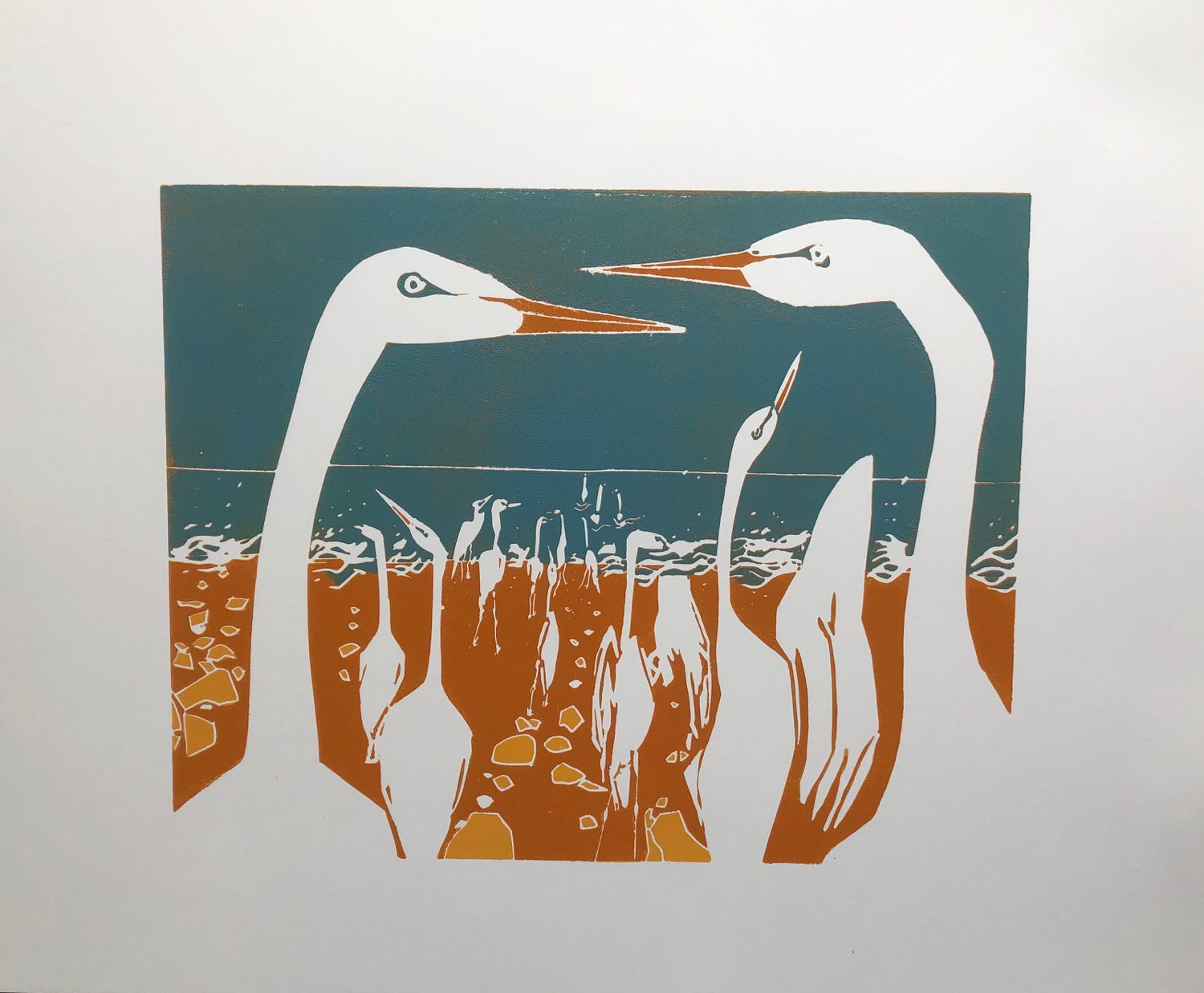 “ Anyone for a Swim?”