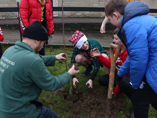 Planting trees with local schools for National Tree Week