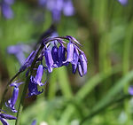 IMG_4402.JPG