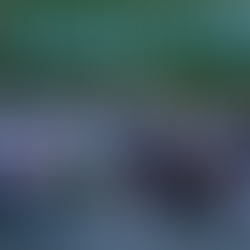 🚀European Youth Press's Forum of Member Organisations 2024