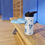 Thumbnail: Blue Coquette 12 oz Stainless Steel Water Bottle