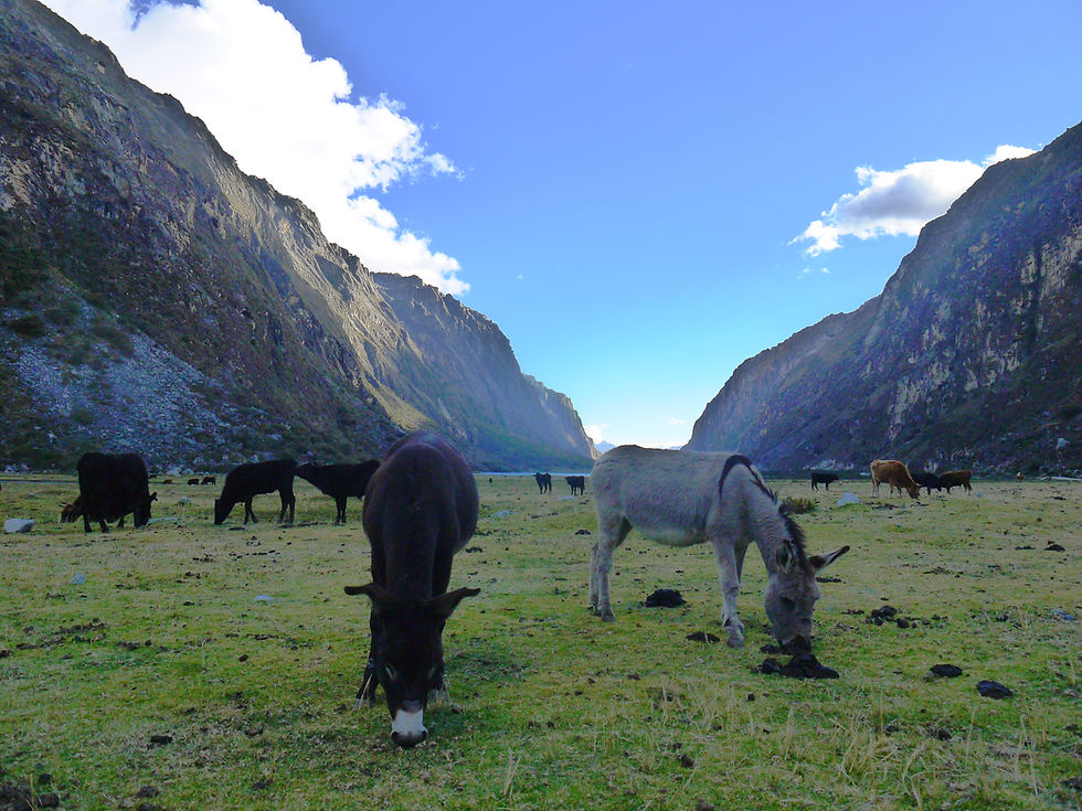 Huascarán National Park