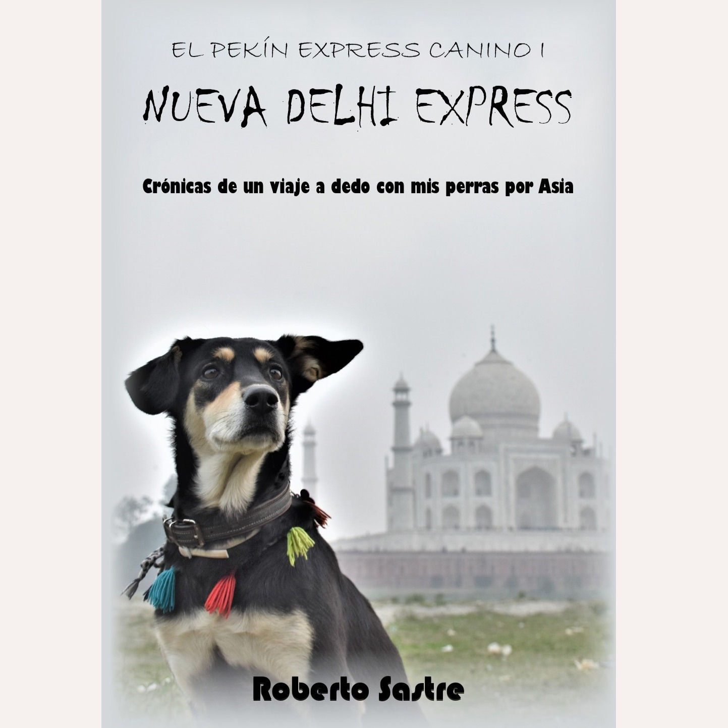 El Pekín Express Canino I. NUEVA DELHI EXPRESS (EBOOK)