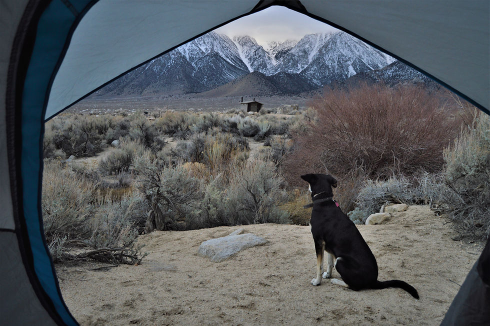 Camping Lone Pine, USA